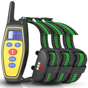2 in 1 Dog Training Collar Automatic Anti Bark Control with Remote Rechargeable and Rainproof 2 in 1 Dog Training Collar Automatic Anti Bark Control with Remote Rechargeable and Rainproof