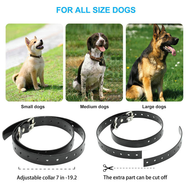 Waterproof&rechargeable dog training collar for 3 dogs