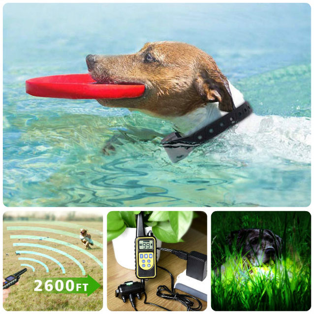 dog training collar 800M remote rechargeable and waterproof dog trainer