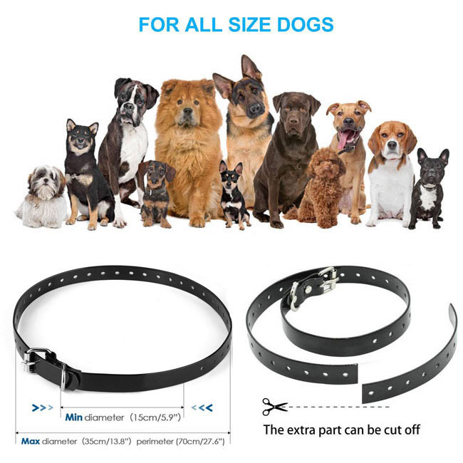 Dog Training Collar with Waterproof Rechargeable Remote